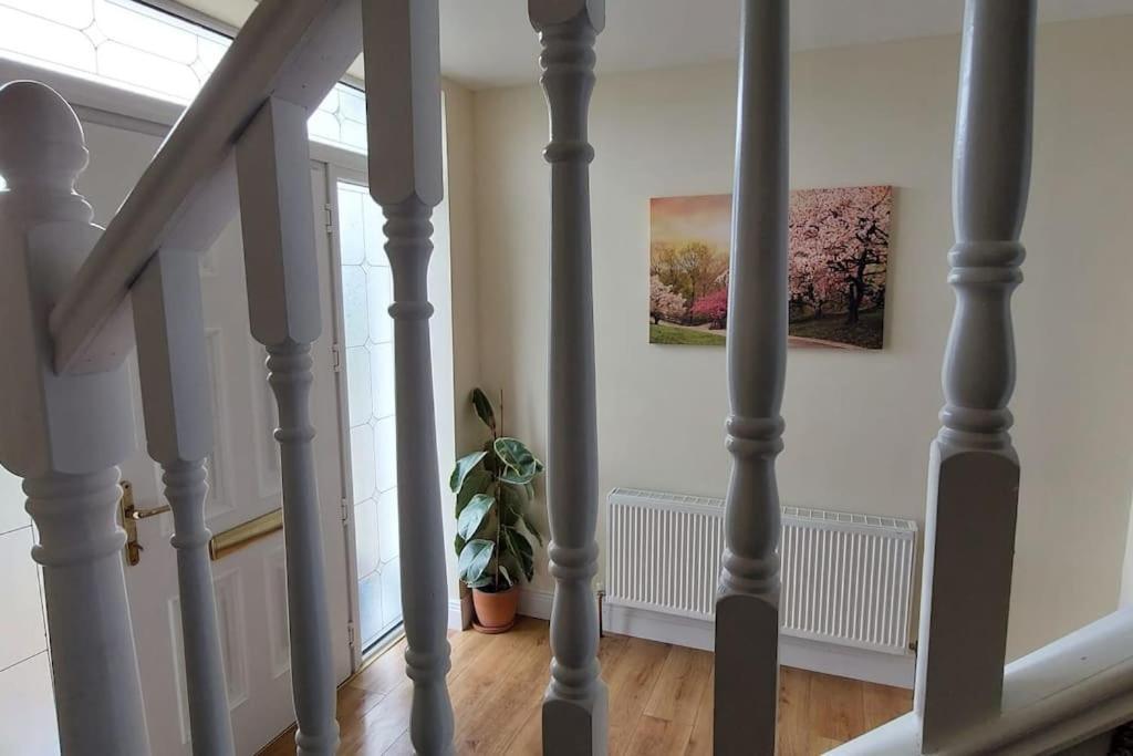 Modern Countryside Apartment Killmallock Lodge Enniscorthy Extérieur photo